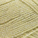 Rico Design Yarn Citrine (013) Rico Design Fashion Cotton Métallisé DK 4050051573899