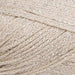 Rico Design Yarn Platinum (001) Rico Design Fashion Cotton Métallisé DK 4050051547685