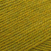 Stylecraft Yarn Mustard (2496) Stylecraft Life DK 5034533081750