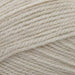 Stylecraft Yarn Parchment (2445) Stylecraft Life DK 5034533081033