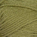 Stylecraft Yarn Meadow (1065) Stylecraft Special Aran 5034533030123