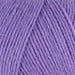 West Yorkshire Spinners Yarn Violet (731) West Yorkshire Spinners Signature 4 Ply (The Florist Collection) 5053682067316