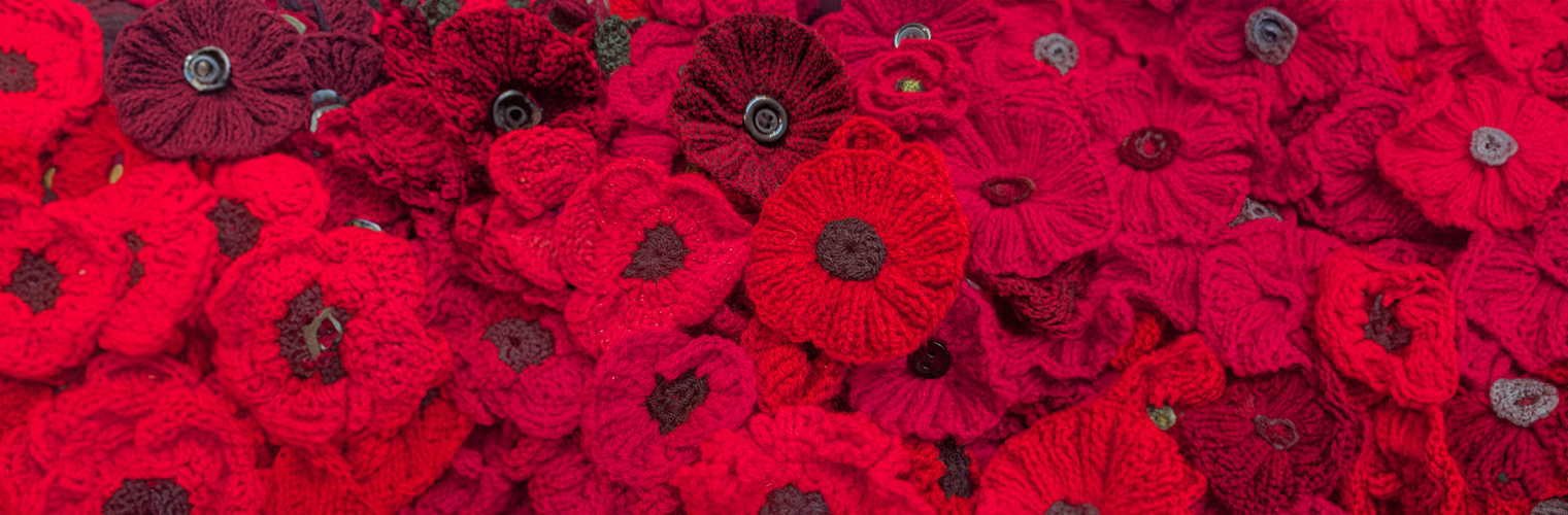 Poppies are GO!