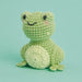 Crocheted frog toy on a solid light green background