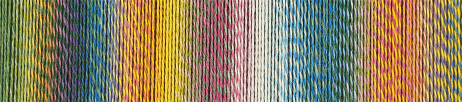 Schoppel Wolle Crazy Zauberball