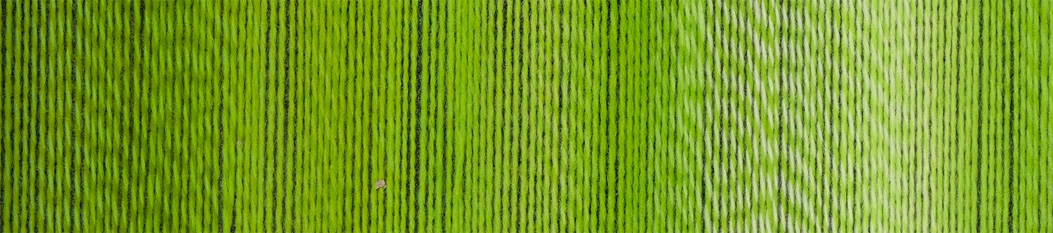 Schoppel Wolle Crazy Boys