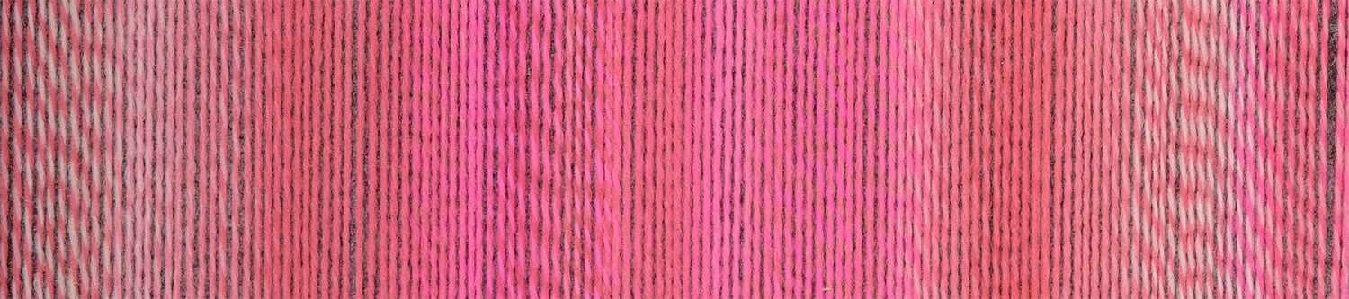 Schoppel Wolle Crazy Boys