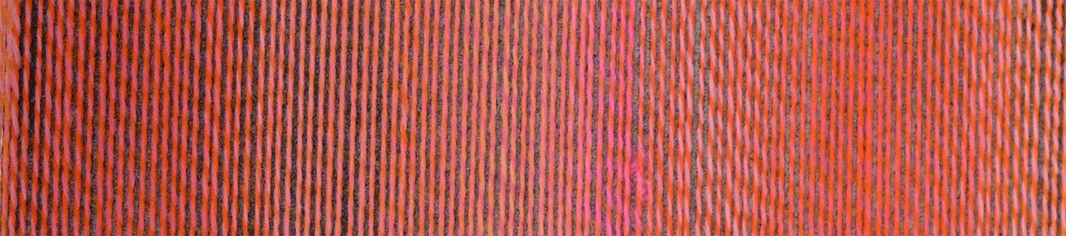 Schoppel Wolle Crazy Boys