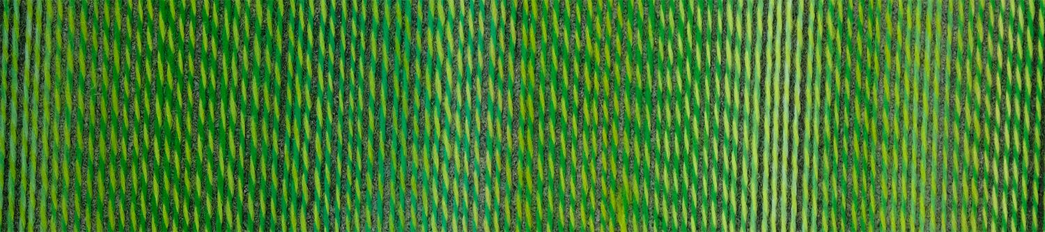 Schoppel Wolle Crazy Boys