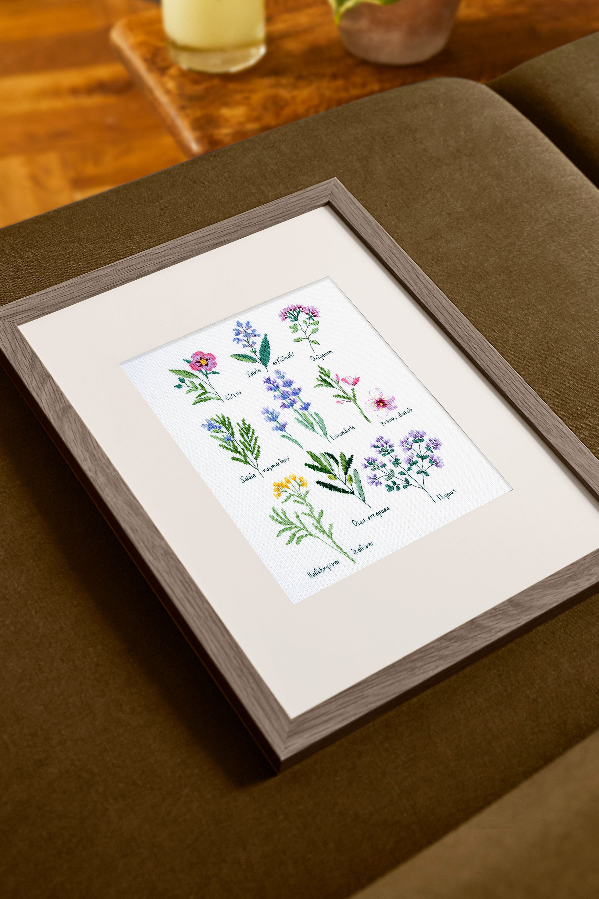 DMC Herbs by Nathalie Weinzaepflen (Cross Stitch Kit)