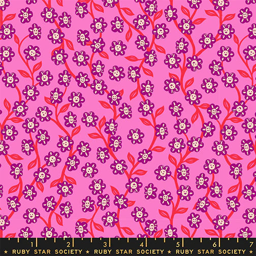 Ruby Star Society Hello Alice