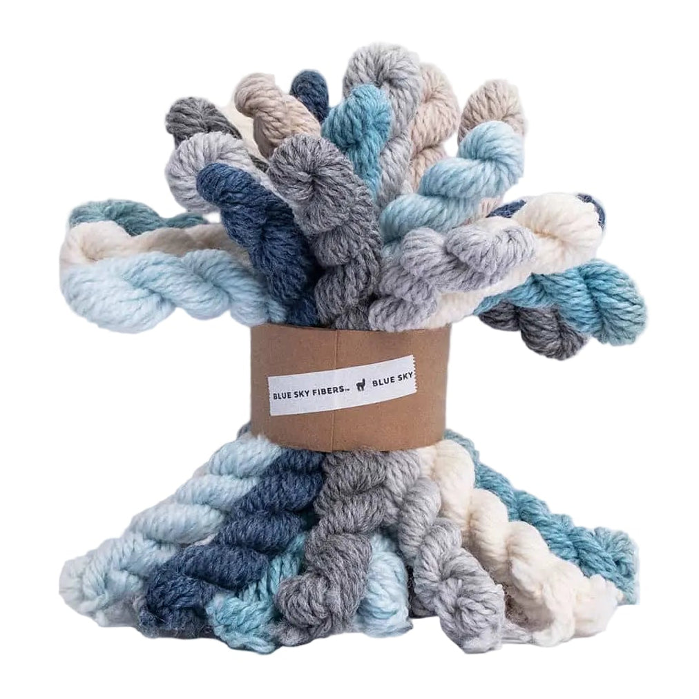 Blue Sky Fibers Woolstok Bundle Kit - Holiday Frost