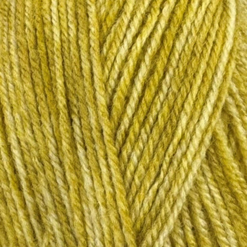 Stylecraft Life DK