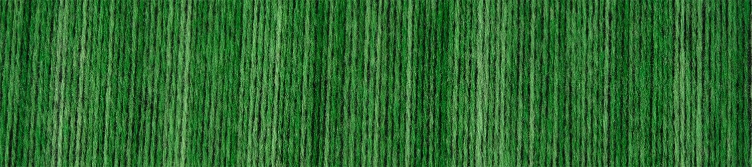 Schoppel Wolle Senior