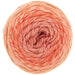 Rico Design Yarn Orange (006) Rico Design Ricorumi Spin Spin DK 4065166016964