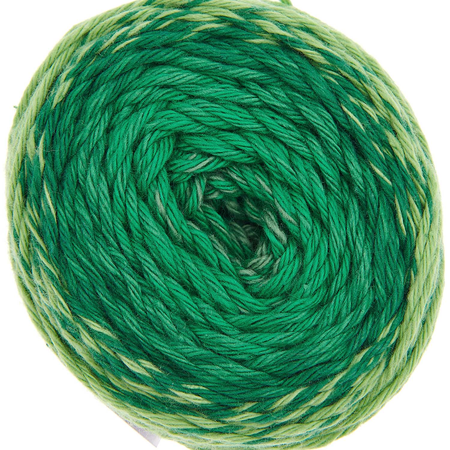 Rico Design Yarn Green (013) Rico Design Ricorumi Spin Spin DK 4065166017039