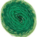 Rico Design Yarn Green (013) Rico Design Ricorumi Spin Spin DK 4065166017039