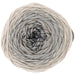 Rico Design Yarn Grey (016) Rico Design Ricorumi Spin Spin DK 4065166017060