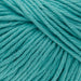 Rico Design Yarn Turquoise (022) Rico Design Essentials Organic Cotton Aran 4065166005661