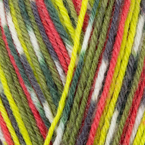 West Yorkshire Spinners Signature 4 Ply (Country Birds)