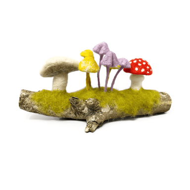 The Crafty Kit Company Felting The Crafty Kit Company Woodland Toadstools Needle Felting Kit