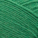 West Yorkshire Spinners Kits Bottle Green (363) West Yorkshire Spinners ColourLab DK Kit - Frankie Unisex Accessory Set by Chloe Elizabeth Birch