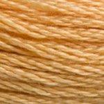 DMC Needlecraft 3827 DMC Mouliné 6 Stranded Cotton (Browns) 077540395064