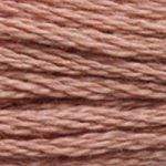 DMC Needlecraft 3859 DMC Mouliné 6 Stranded Cotton (Browns) 077540781805