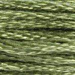 DMC Needlecraft 3364 DMC Mouliné 6 Stranded Cotton (Greens) 077540053841