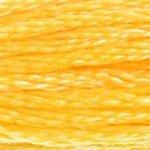 DMC Needlecraft 743 DMC Mouliné 6 Stranded Cotton (Yellows) 077540052172