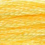 DMC Needlecraft 744 DMC Mouliné 6 Stranded Cotton (Yellows) 077540052189