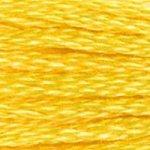 DMC Needlecraft 973 DMC Mouliné 6 Stranded Cotton (Yellows) 077540053377