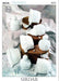 Sirdar Patterns Sirdar Snuggly DK & Snuggly 4 Ply - Hats (3653) 5024723936533