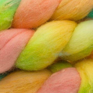 Dye Candy Spinning Dye Candy Braid - OOAK (201229-1)