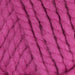 Cygnet Yarn Candyfloss (809) Cygnet Seriously Chunky 5037171000534