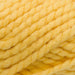 Cygnet Yarn Sunburst (8289) Cygnet Seriously Chunky 5037171999999