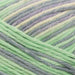 Rico Design Yarn Violet-Green (031) Rico Design Baby Cotton Soft Print DK 4051271164683