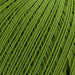Rico Design Yarn Light Green (009) Rico Design Essentials Crochet 4050051524624