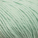 Rico Design Yarn Mint (011) Rico Design Essentials Organic Cotton Aran 4051271165499