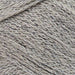 Rico Design Yarn Zinc (021) Rico Design Fashion Cotton Métallisé DK 4051271452766