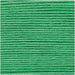 Rico Design Yarn Grass Green (044) Rico Design Ricorumi DK 4050051561964