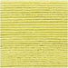 Rico Design Yarn Light Green (046) Rico Design Ricorumi DK 4050051562008