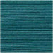 Rico Design Yarn Teal (040) Rico Design Ricorumi DK 4050051561926