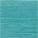 Rico Design Yarn Turquoise (039) Rico Design Ricorumi DK 4050051561919