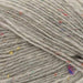 Rico Design Yarn Light Grey (007) Rico Design Superba Tweed 4 Ply 4051271162191