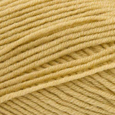 Stylecraft Yarn Awesome Avocado (1858) Stylecraft Bambino DK 5034533084102