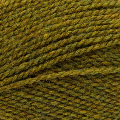 Stylecraft Yarn Gorse (3743) Stylecraft Highland Heathers DK 5034533084362