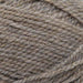 Stylecraft Yarn Grist (3750) Stylecraft Highland Heathers DK 5034533084430