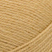 Stylecraft Yarn Caramel (2446) Stylecraft Life DK 5034533081040