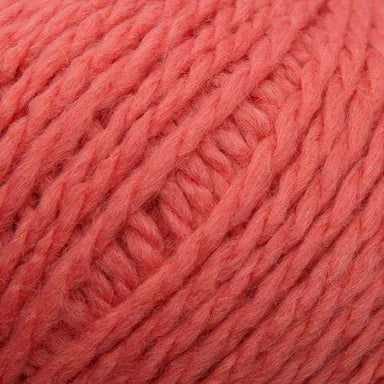 Stylecraft Yarn Coral (2361) Stylecraft Softie Chunky 5034533085796